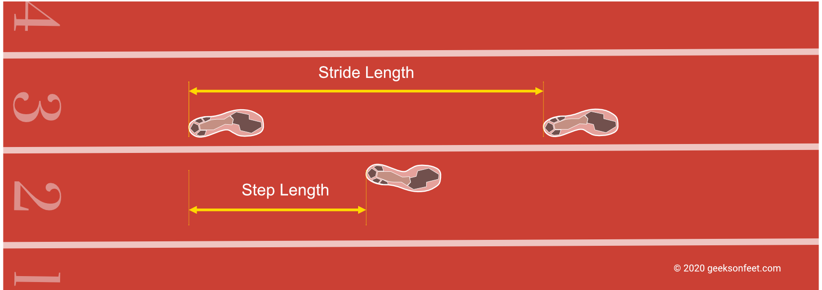 Stride Length – Big Red Running
